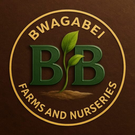 Bwagabei Farms and Nurseries circular logo with BB initials and leaf design.